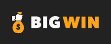 BigWin casino logo